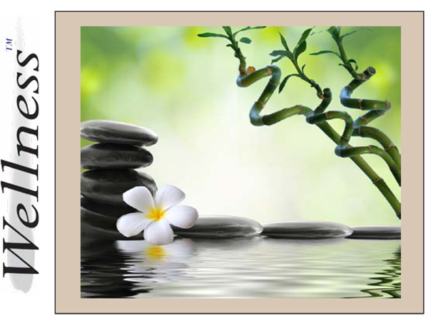 Wellness